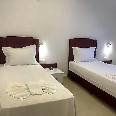 Ala فندق 3*